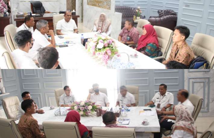 Asistensi Pemenuhan Infrastruktur Kapabilitas APIP Inspektorat Daerah Provinsi oleh BPKP Jambi